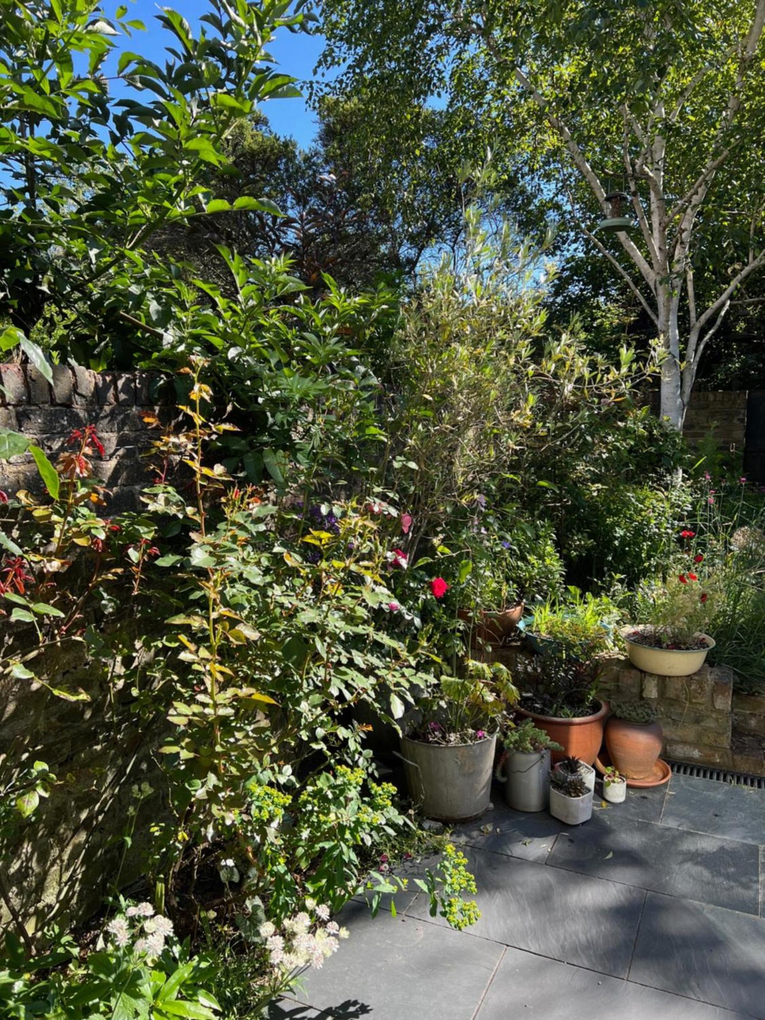 Bright And Elegant 2 Bedroom Flat, Near Notting Hill Λονδίνο Εξωτερικό φωτογραφία